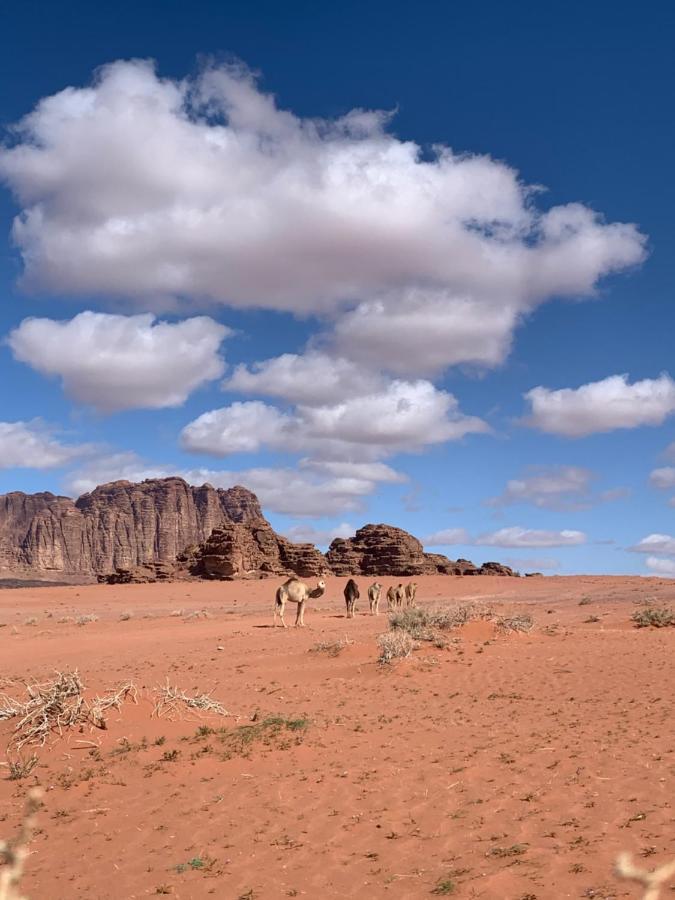 Wadi Rum Story Εξωτερικό φωτογραφία