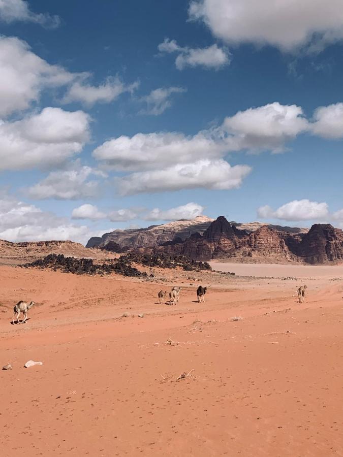 Wadi Rum Story Εξωτερικό φωτογραφία